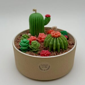 Terrario de Cactus